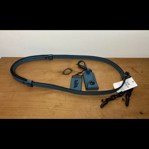 NWT Coach 1941 Swagger Chain Crossbody in Chambray - Picture 10 of 12